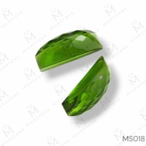 Fancy MS 18