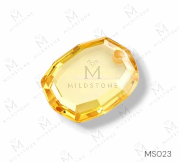 Fancy MS 22