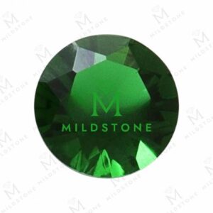 (T01) G-DARKGREEN A03-1